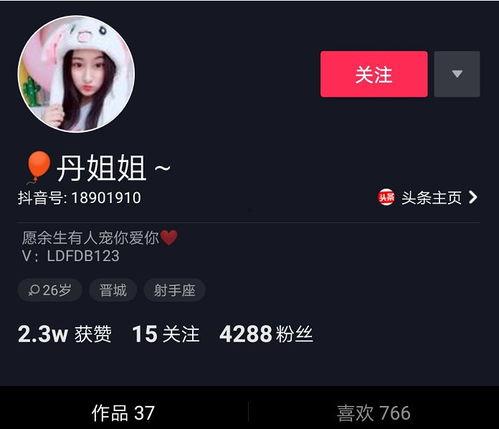 晋城网红爆料最新消息,揭秘城市新热点，带你探秘网红打卡地！