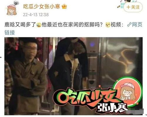 明星事件爆料最新消息视频,最新明星事件爆料视频全解析